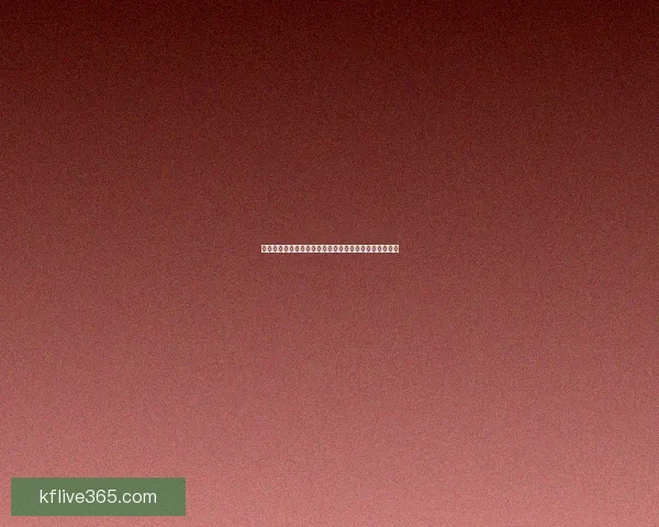 世界杯竞猜热门平台推荐助力球迷精准下注赢取丰厚奖励