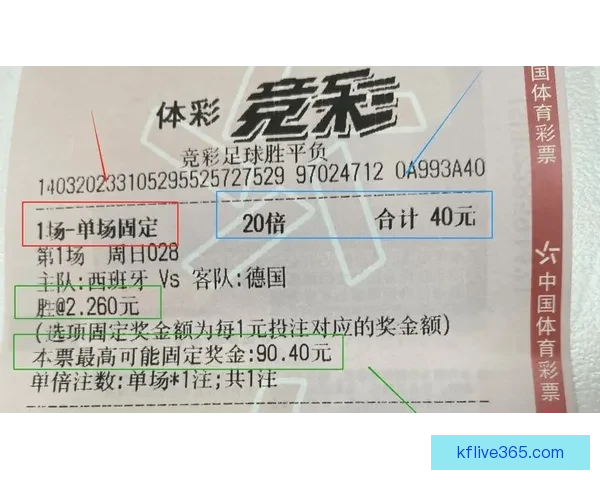 世界杯在线投注攻略 提升投注技巧赢取大奖的必备指南